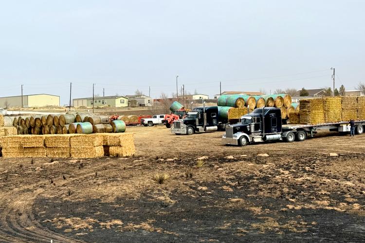 Hay Distribution Center at Canadian's Animal Health & Nutrition