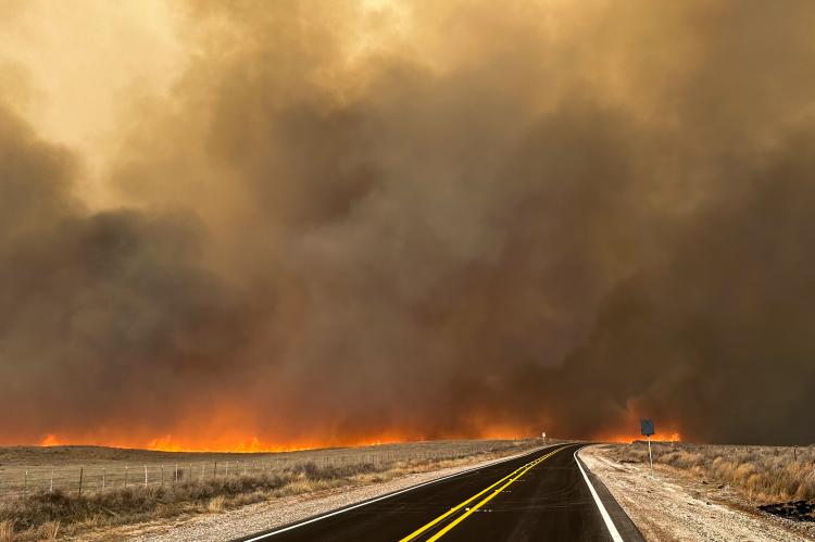 February 27 Wildfire, photo y Casey Long